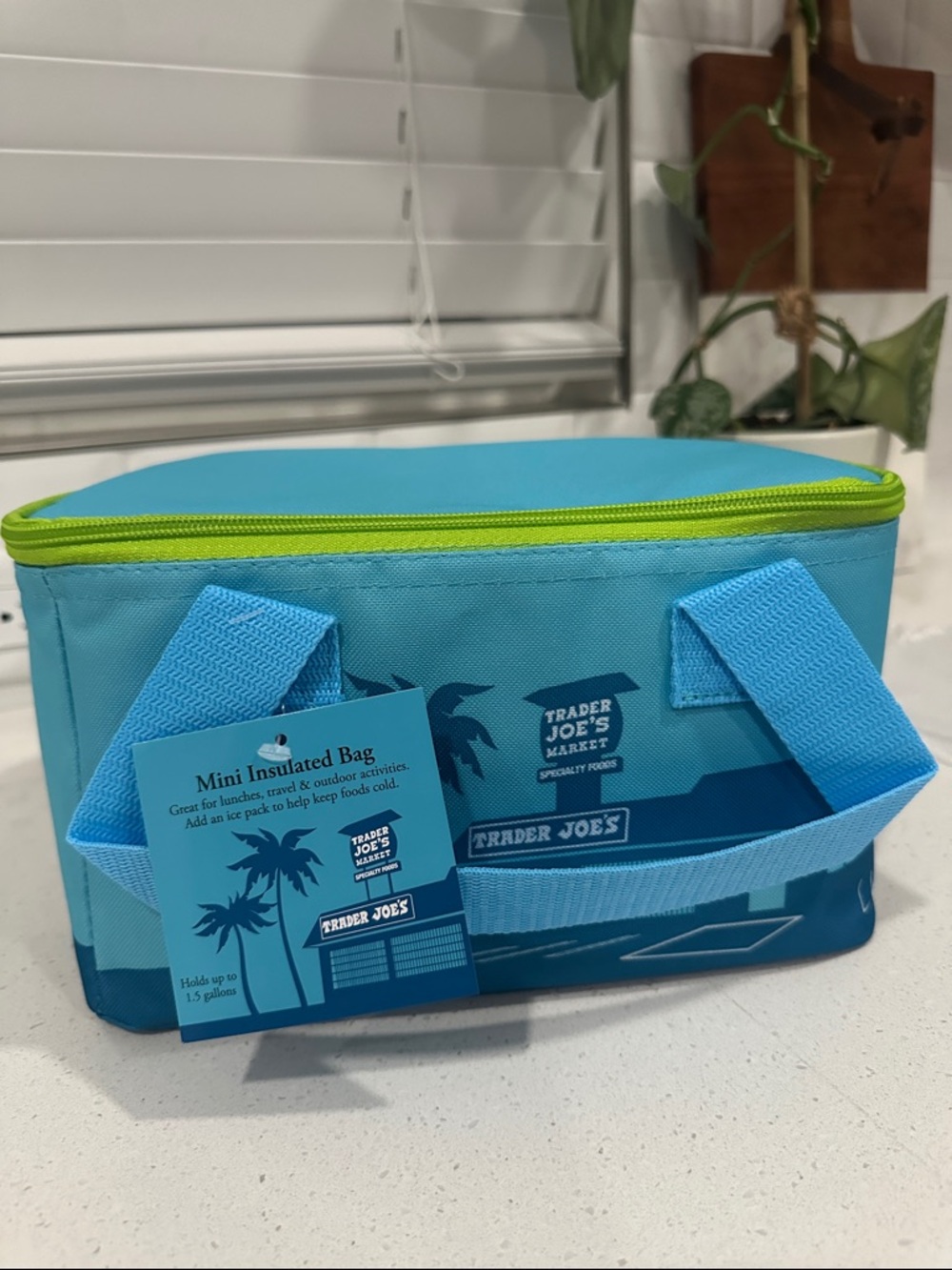 Trader Joe's Blue & Lime Mini Insulated Lunch Bag